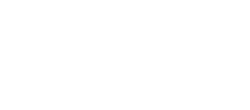 Bōryoku Dragonz logo