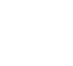 Bravo Ready logo