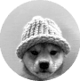 DOG WIF HAT logo